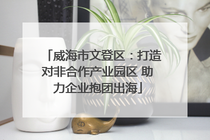 威海市文登区：打造对非合作产业园区 助力企业抱团出海