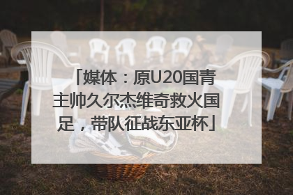 媒体：原U20国青主帅久尔杰维奇救火国足，带队征战东亚杯