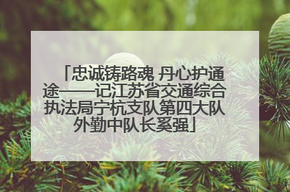忠诚铸路魂 丹心护通途——记江苏省交通综合执法局宁杭支队第四大队外勤中队长奚强