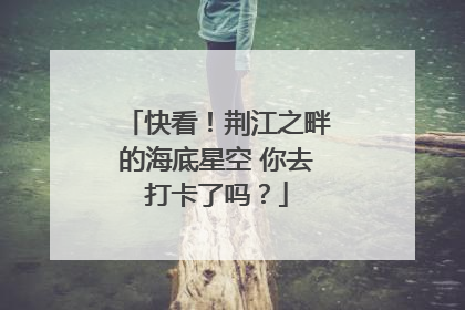 快看！荆江之畔的海底星空 你去打卡了吗？