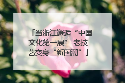 当浙江邂逅“中国文化第一展” 老技艺变身“新国潮”