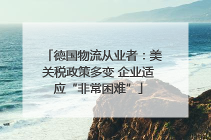 德国物流从业者：美关税政策多变 企业适应“非常困难”