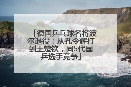 德国乒乓球名将波尔退役：从孔令辉打到王楚钦，同5代国乒选手竞争