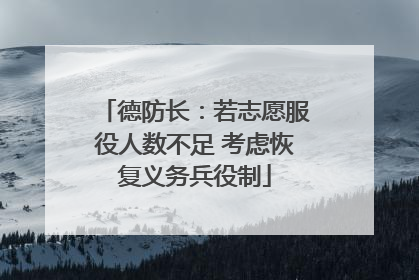 德防长：若志愿服役人数不足 考虑恢复义务兵役制