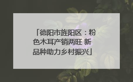 德阳市旌阳区：粉色木耳产销两旺 新品种助力乡村振兴