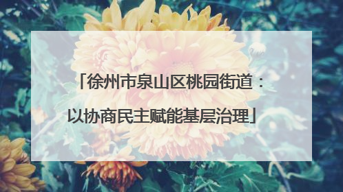 徐州市泉山区桃园街道：以协商民主赋能基层治理