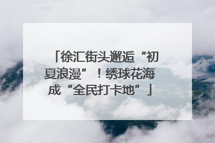 徐汇街头邂逅“初夏浪漫”！绣球花海成“全民打卡地”