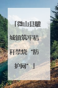 微山县驩城镇筑牢秸秆禁烧“防护网”
