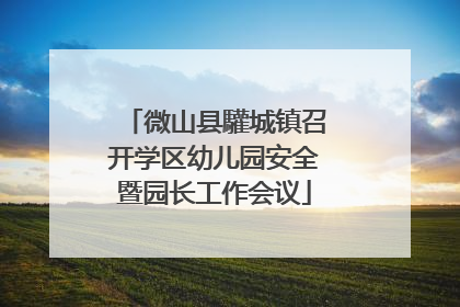 微山县驩城镇召开学区幼儿园安全暨园长工作会议