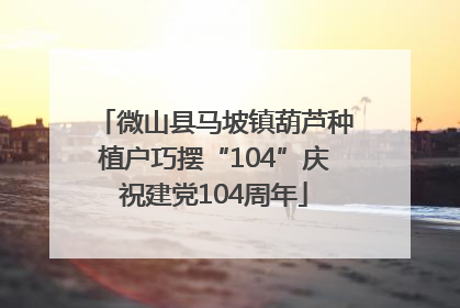 微山县马坡镇葫芦种植户巧摆“104”庆祝建党104周年