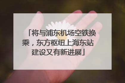 将与浦东机场空铁换乘，东方枢纽上海东站建设又有新进展