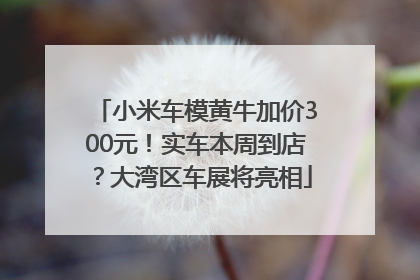 小米车模黄牛加价300元！实车本周到店？大湾区车展将亮相