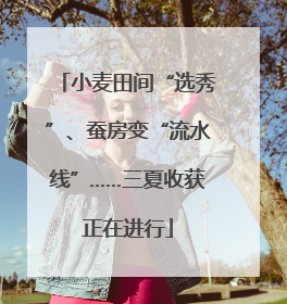 小麦田间“选秀”、蚕房变“流水线”……三夏收获正在进行