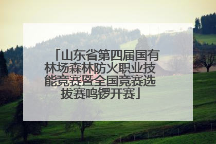 山东省第四届国有林场森林防火职业技能竞赛暨全国竞赛选拔赛鸣锣开赛