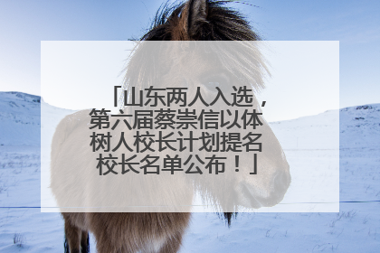 山东两人入选，第六届蔡崇信以体树人校长计划提名校长名单公布！