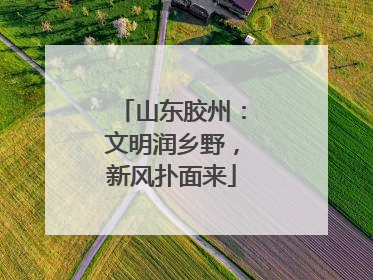 山东胶州：文明润乡野，新风扑面来