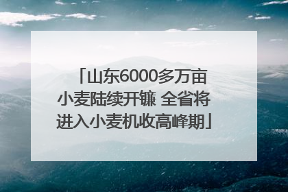 山东6000多万亩小麦陆续开镰 全省将进入小麦机收高峰期