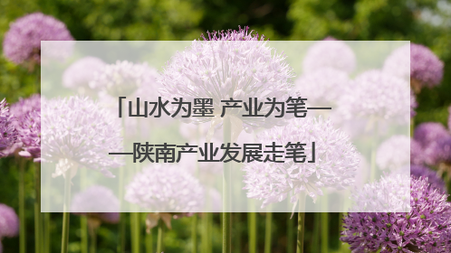 山水为墨 产业为笔——陕南产业发展走笔