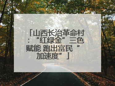 山西长治革命村：“红绿金”三色赋能 跑出富民“加速度”
