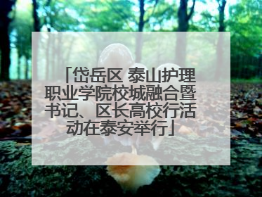 岱岳区 泰山护理职业学院校城融合暨书记、区长高校行活动在泰安举行
