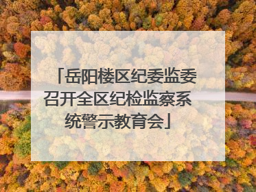 岳阳楼区纪委监委召开全区纪检监察系统警示教育会