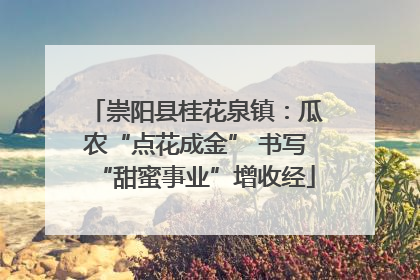 崇阳县桂花泉镇：瓜农“点花成金” 书写“甜蜜事业”增收经