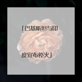 巴基斯坦与印度宣布停火
