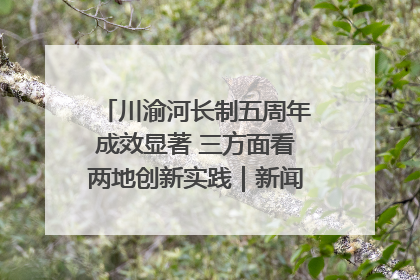 川渝河长制五周年成效显著 三方面看两地创新实践｜新闻发布最前线