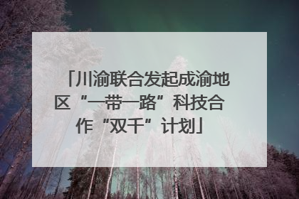 川渝联合发起成渝地区“一带一路”科技合作“双千”计划