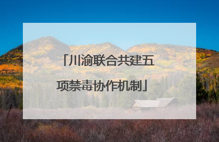 川渝联合共建五项禁毒协作机制