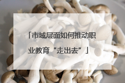 市域层面如何推动职业教育“走出去”