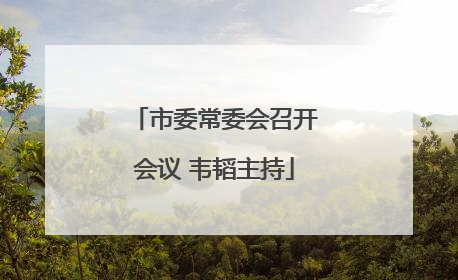 市委常委会召开会议 韦韬主持