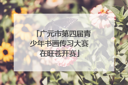 广元市第四届青少年书画传习大赛在旺苍开赛