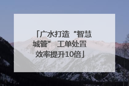 广水打造“智慧城管” 工单处置效率提升10倍