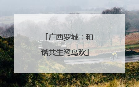 广西罗城：和谐共生鹭鸟欢