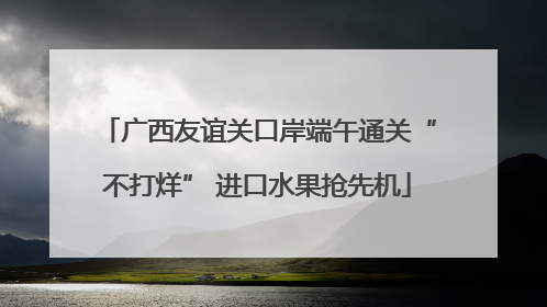 广西友谊关口岸端午通关“不打烊” 进口水果抢先机