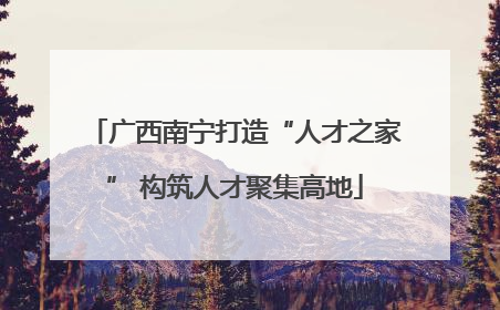 广西南宁打造“人才之家” 构筑人才聚集高地