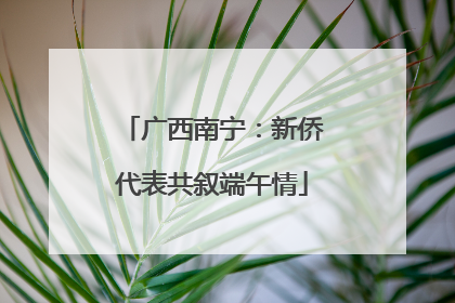 广西南宁：新侨代表共叙端午情