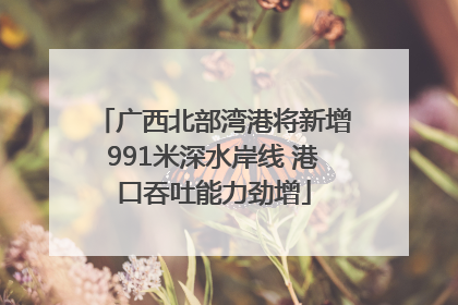 广西北部湾港将新增991米深水岸线 港口吞吐能力劲增