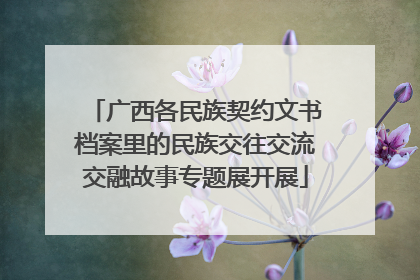 广西各民族契约文书档案里的民族交往交流交融故事专题展开展