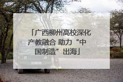 广西柳州高校深化产教融合 助力“中国制造”出海