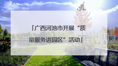 广西河池市开展“质量服务进园区”活动