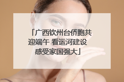 广西钦州台侨胞共迎端午 看运河建设感受家国强大