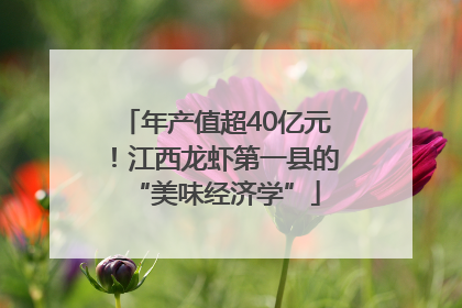 年产值超40亿元！江西龙虾第一县的“美味经济学”