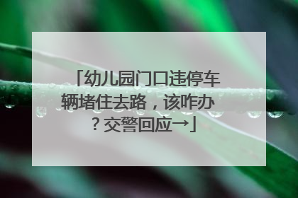 幼儿园门口违停车辆堵住去路，该咋办？交警回应→