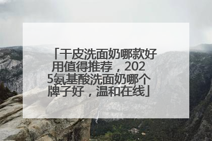 干皮洗面奶哪款好用值得推荐，2025氨基酸洗面奶哪个牌子好，温和在线