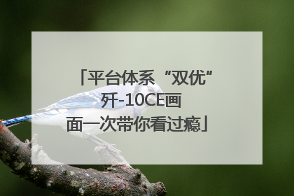 平台体系“双优”  歼-10CE画面一次带你看过瘾