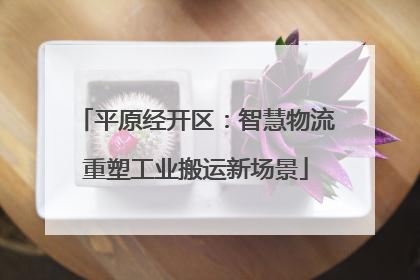 平原经开区：智慧物流重塑工业搬运新场景