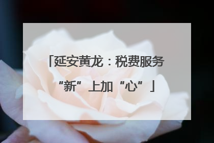 延安黄龙：税费服务“新”上加“心”