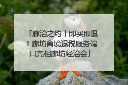 廊洽之约丨即买即退！廊坊离境退税服务端口亮相廊坊经洽会